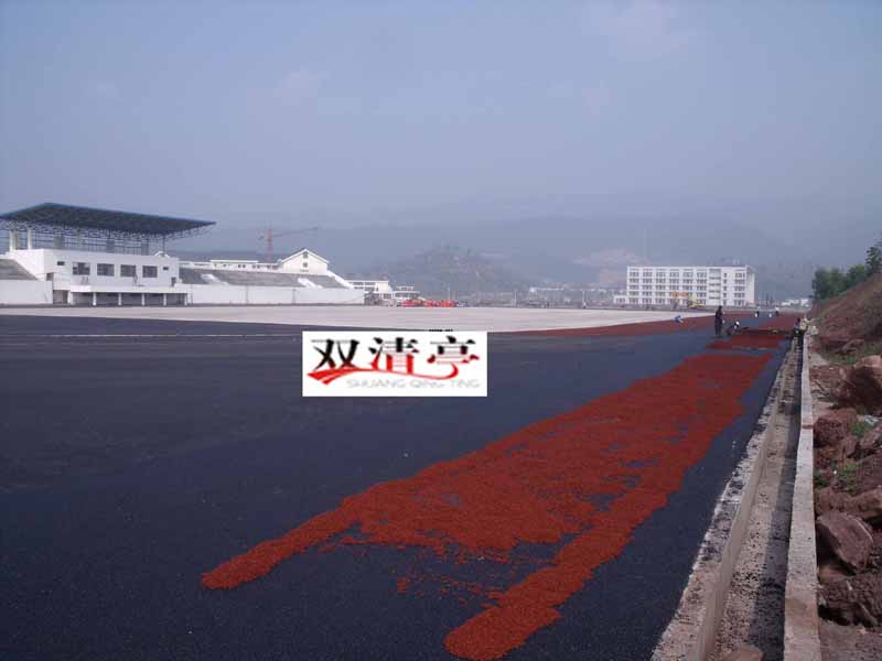 重庆市农业机械化学校混合型塑胶跑道施工现场