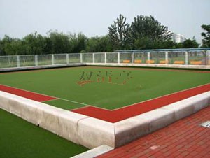 亚美体育(中国)官方网站人造草门球场
